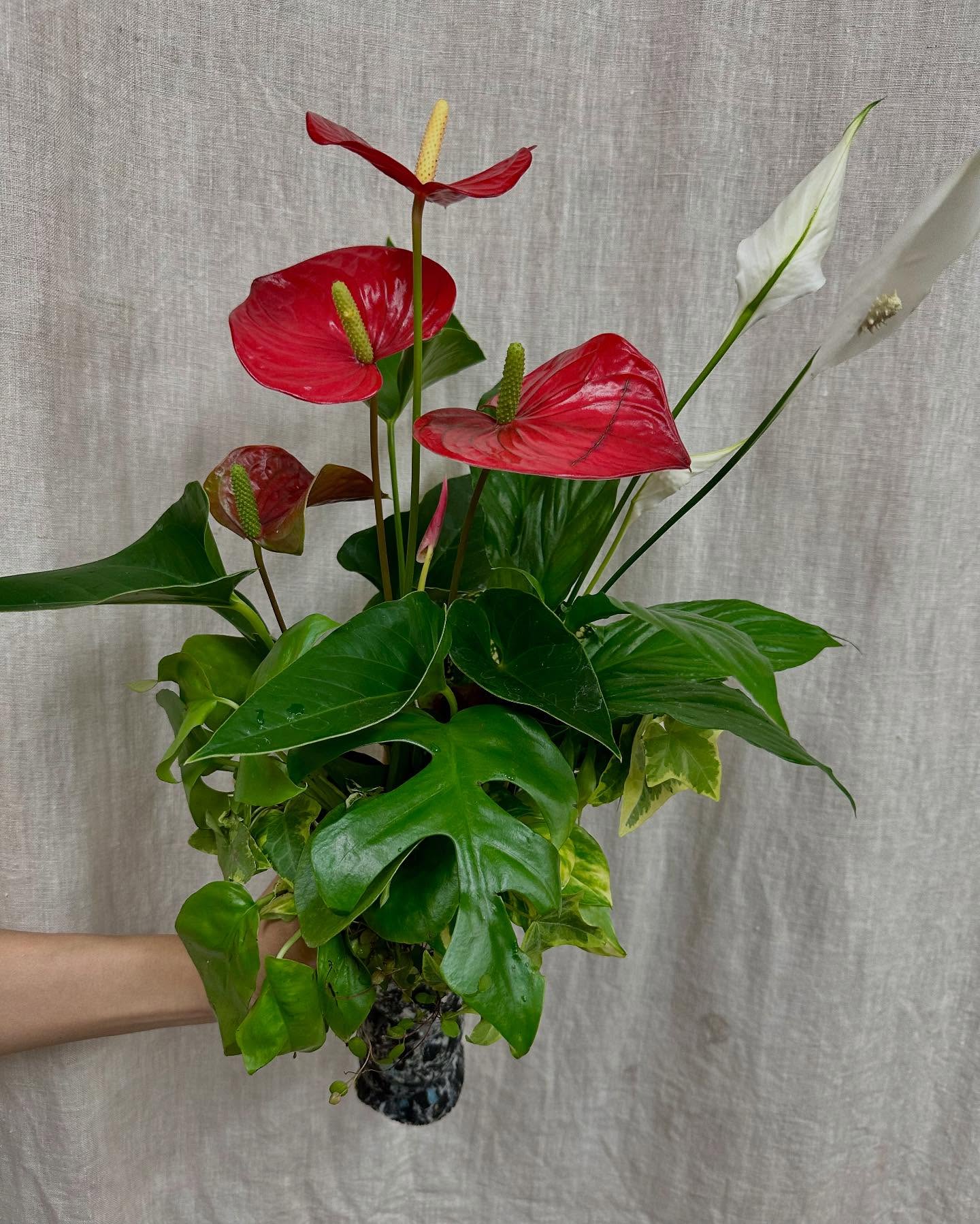 花塾で制作した赤いアンスリウムと観葉植物のブーケ